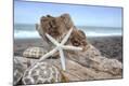 Premium Photographic Print