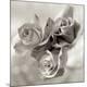 Premium Photographic Print