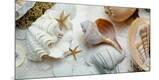 Premium Photographic Print