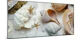 Premium Photographic Print