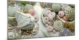 Premium Photographic Print