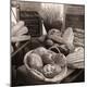 Photographic Print