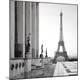 Photographic Print
