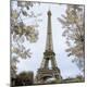 Premium Photographic Print