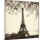 Premium Photographic Print