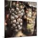 Premium Photographic Print