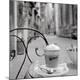 Premium Photographic Print