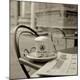Premium Photographic Print