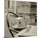 Premium Photographic Print