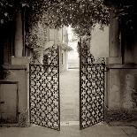Hampton Gates III-Alan Blaustein-Photographic Print