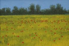 Yellow Field with Poppies, 2002-Alan Byrne-Giclee Print