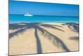 Photographic Print