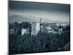 Photographic Print