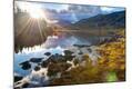 Photographic Print