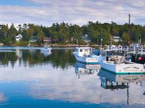 Eagle Lake, Acadia National Park, Mount Desert Island, Maine, New England, USA, North America-Alan Copson-Photographic Print