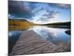 Photographic Print