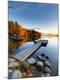Photographic Print