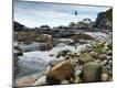 Photographic Print