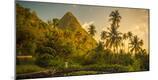 Photographic Print