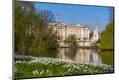 Premium Photographic Print