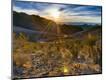 Photographic Print