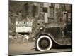 Photographic Print