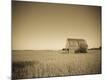 Photographic Print