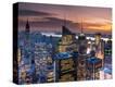 Stretched Canvas Print