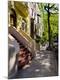 Premium Photographic Print
