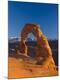 Premium Photographic Print