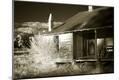Premium Photographic Print
