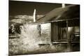 Photographic Print