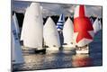 Photographic Print