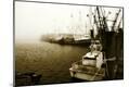 Photographic Print