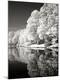 Premium Photographic Print
