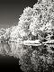 Premium Photographic Print