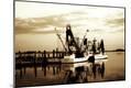 Photographic Print