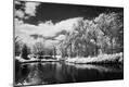 Photographic Print