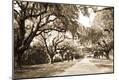Photographic Print
