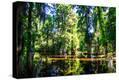 Stretched Canvas Print
