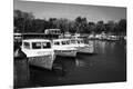 Premium Photographic Print