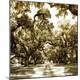 Photographic Print