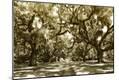 Photographic Print