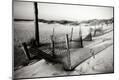 Photographic Print