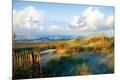 Photographic Print