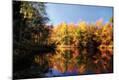 Photographic Print