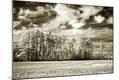 Photographic Print