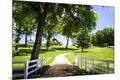Premium Photographic Print