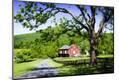 Photographic Print