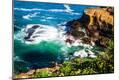 Photographic Print
